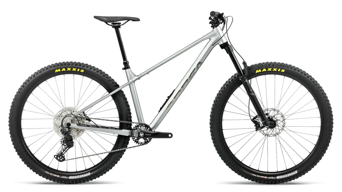Orbea Laufey H10 L Smooth Silver – Titanium, втори изглед