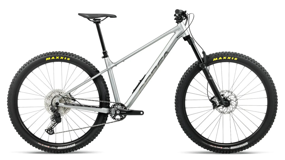 Orbea Laufey H10 L Smooth Silver – Titanium, втори изглед